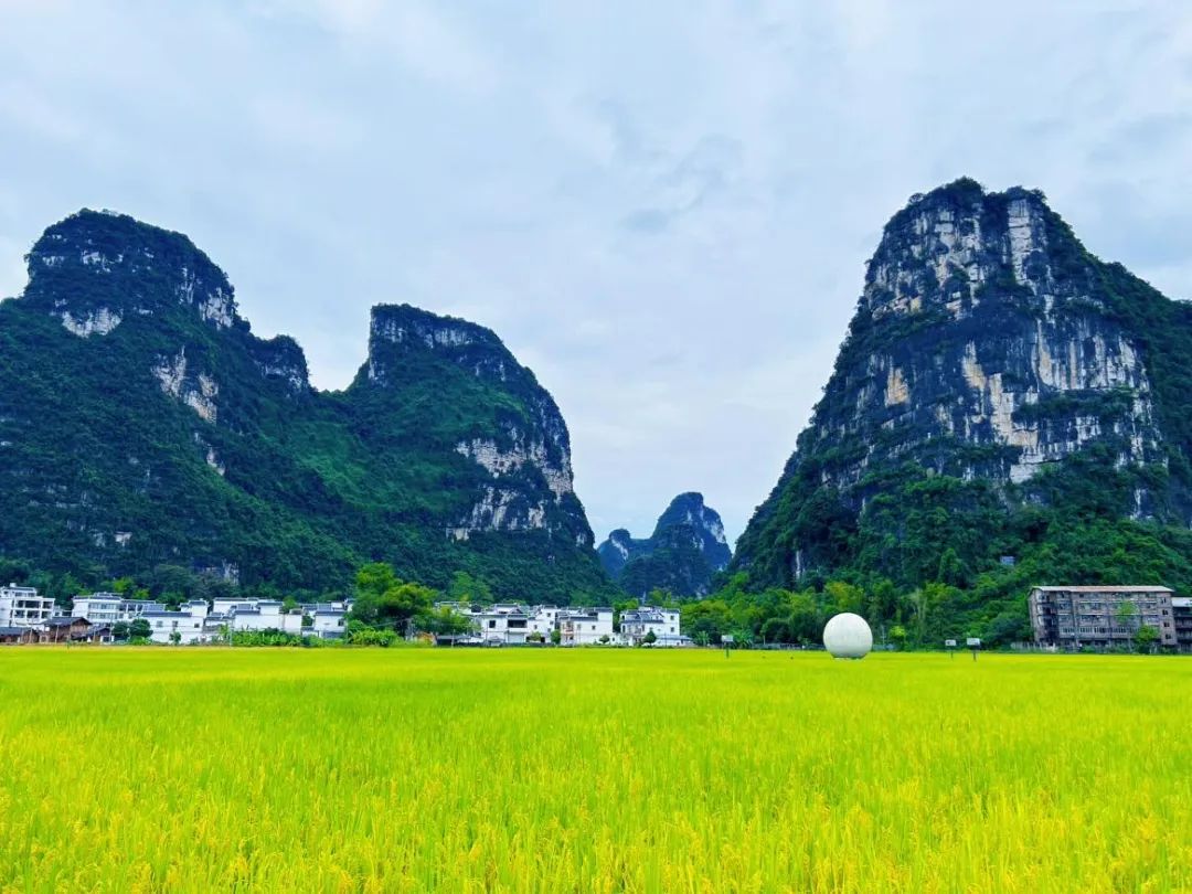 微信图片_20231018140123.jpg 微信图片_20231018140123.jpg