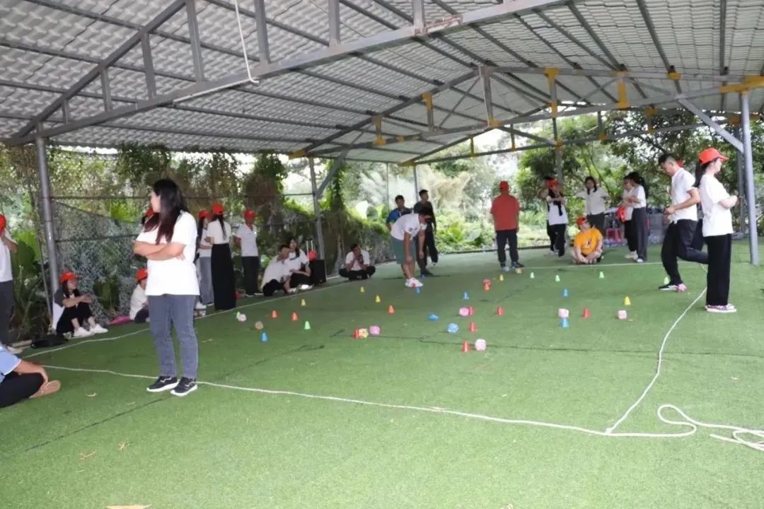 微信图片_20231114162119.jpg 微信图片_20231114162119.jpg